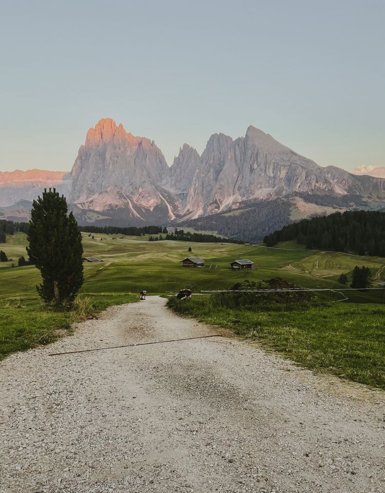 sendero de montaña con vistas a las montañas de fondo en alpe siusi